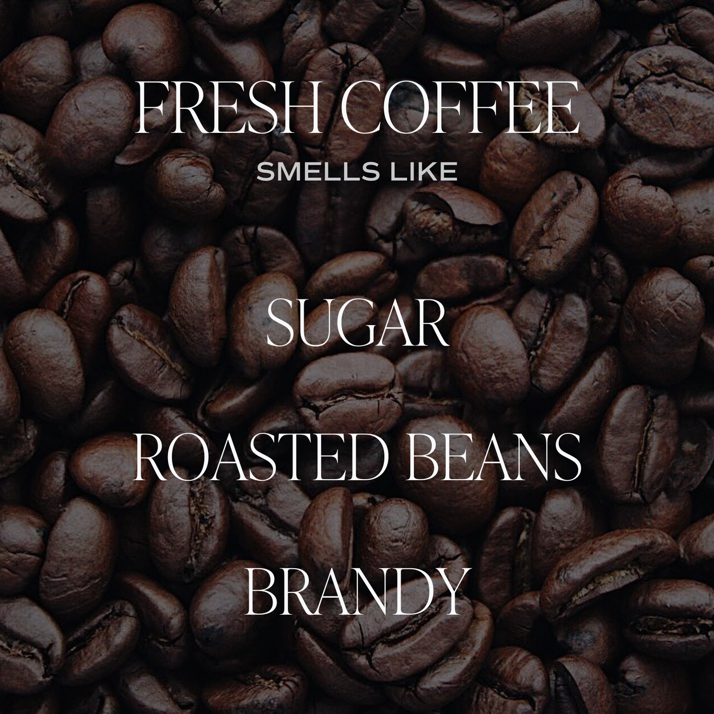 Fresh Coffee 9.oz Candle