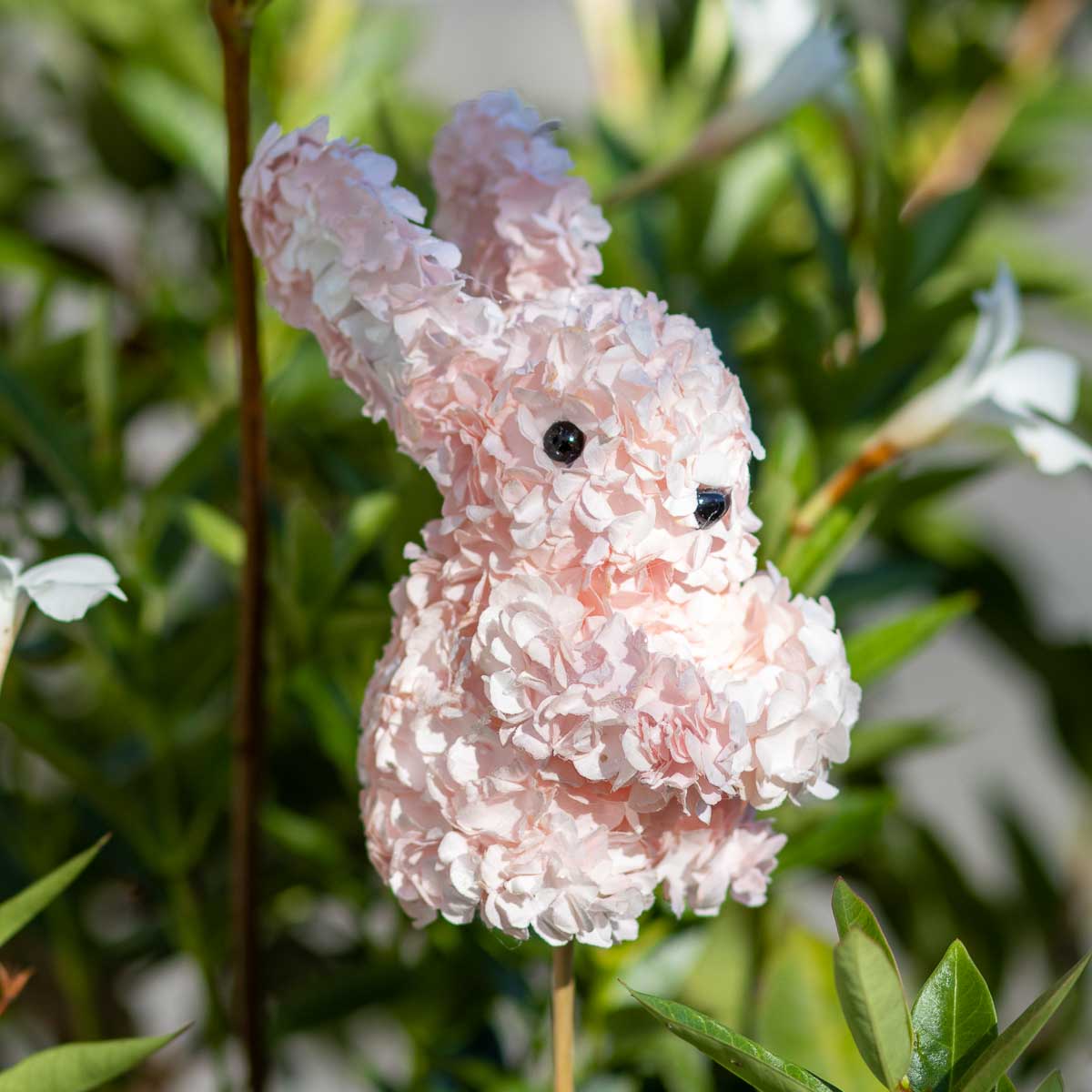 Hydrangea Bunny Pick
