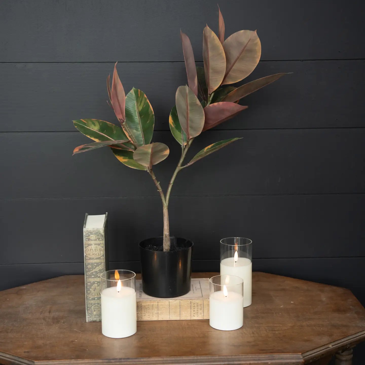 25" Magnolia Leaf tree
