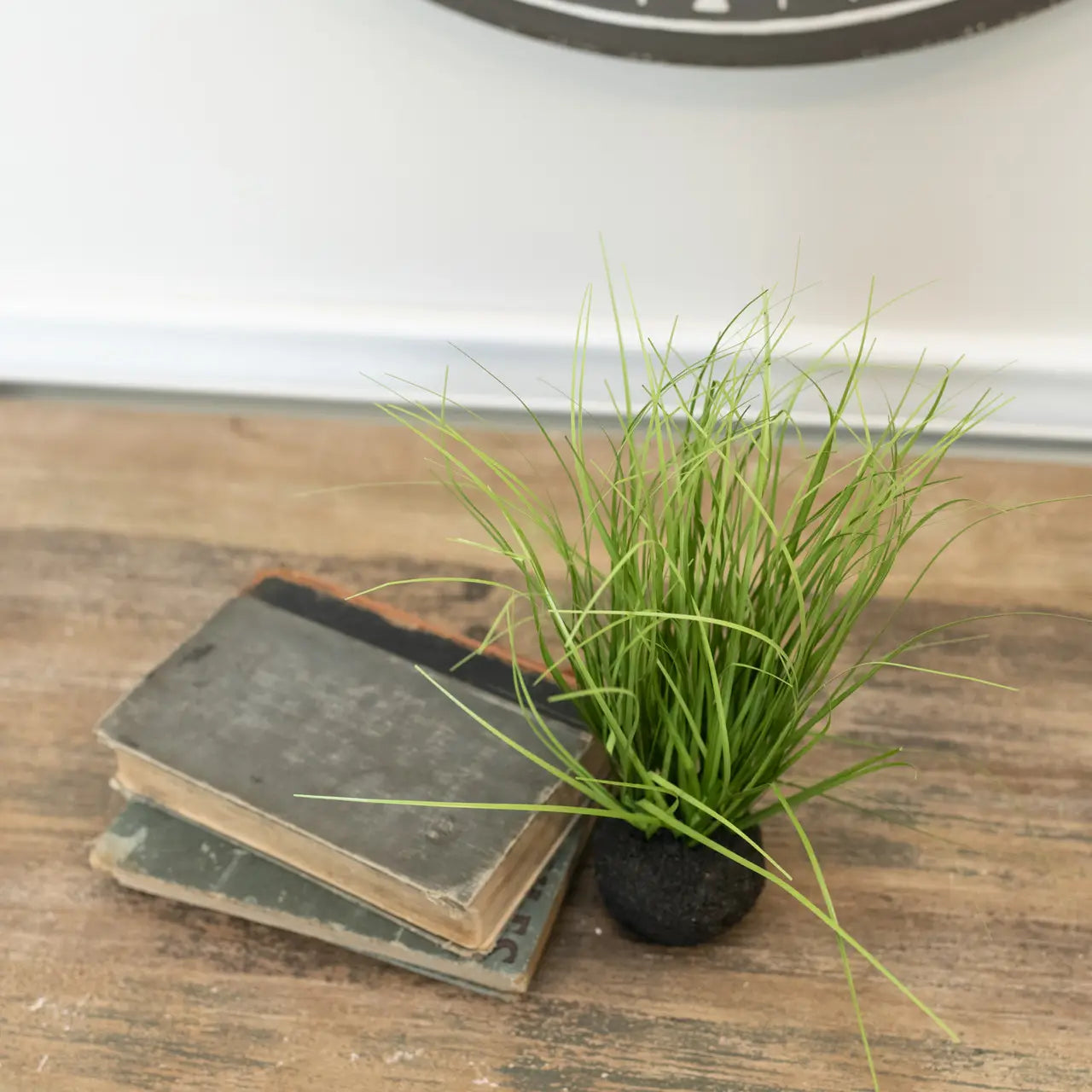 10" Wild Onion Grass Bulb