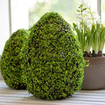 Belmont Egg Decor