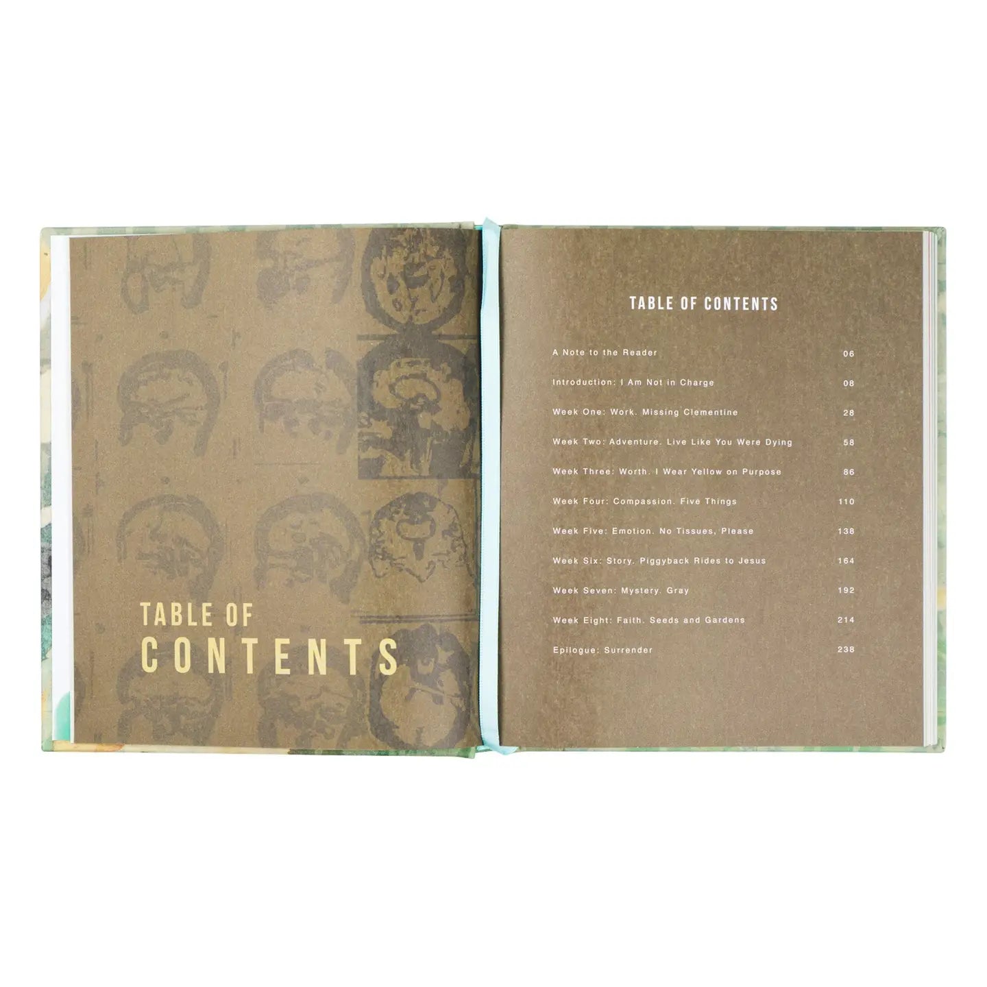 "I Am Not In Charge" Devotional