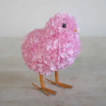 Hydrangea Chick
