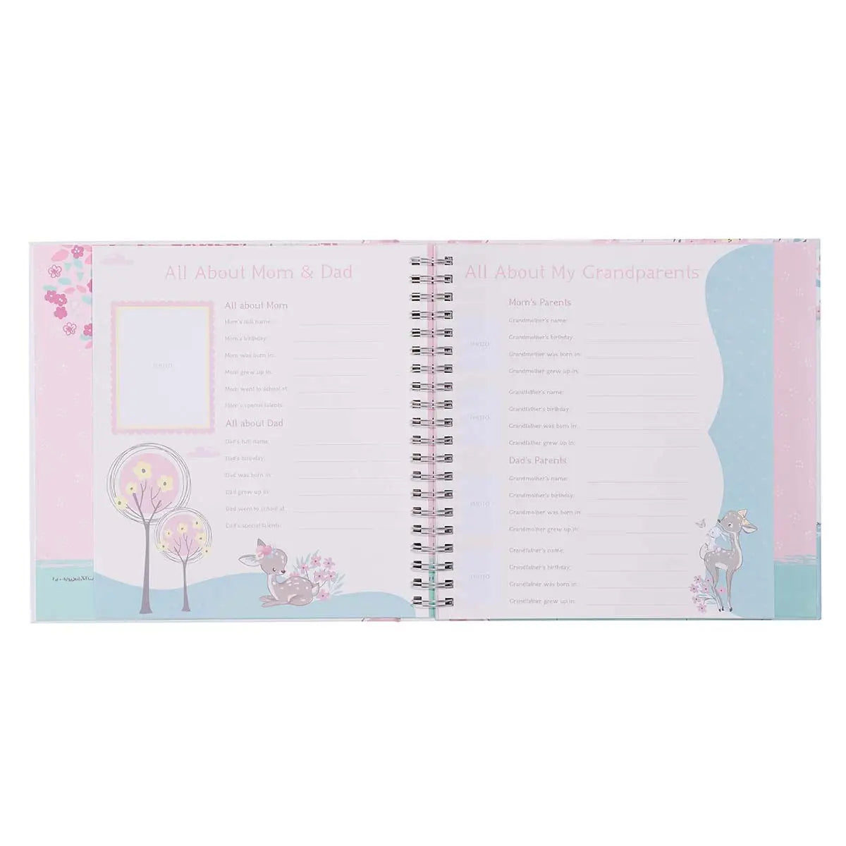 Baby Girl Memory Book
