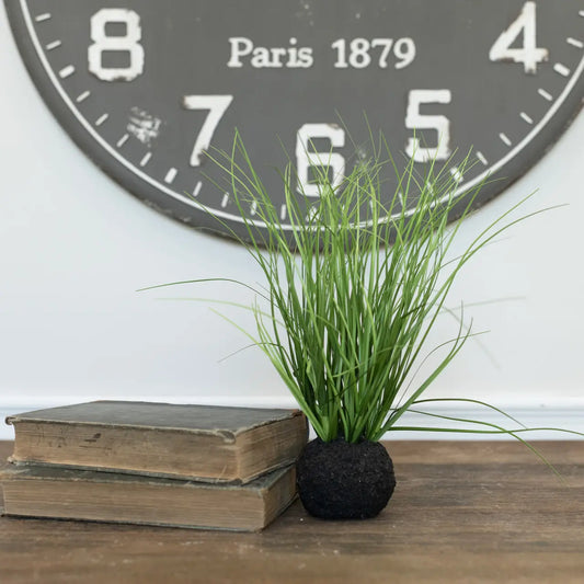 10" Wild Onion Grass Bulb