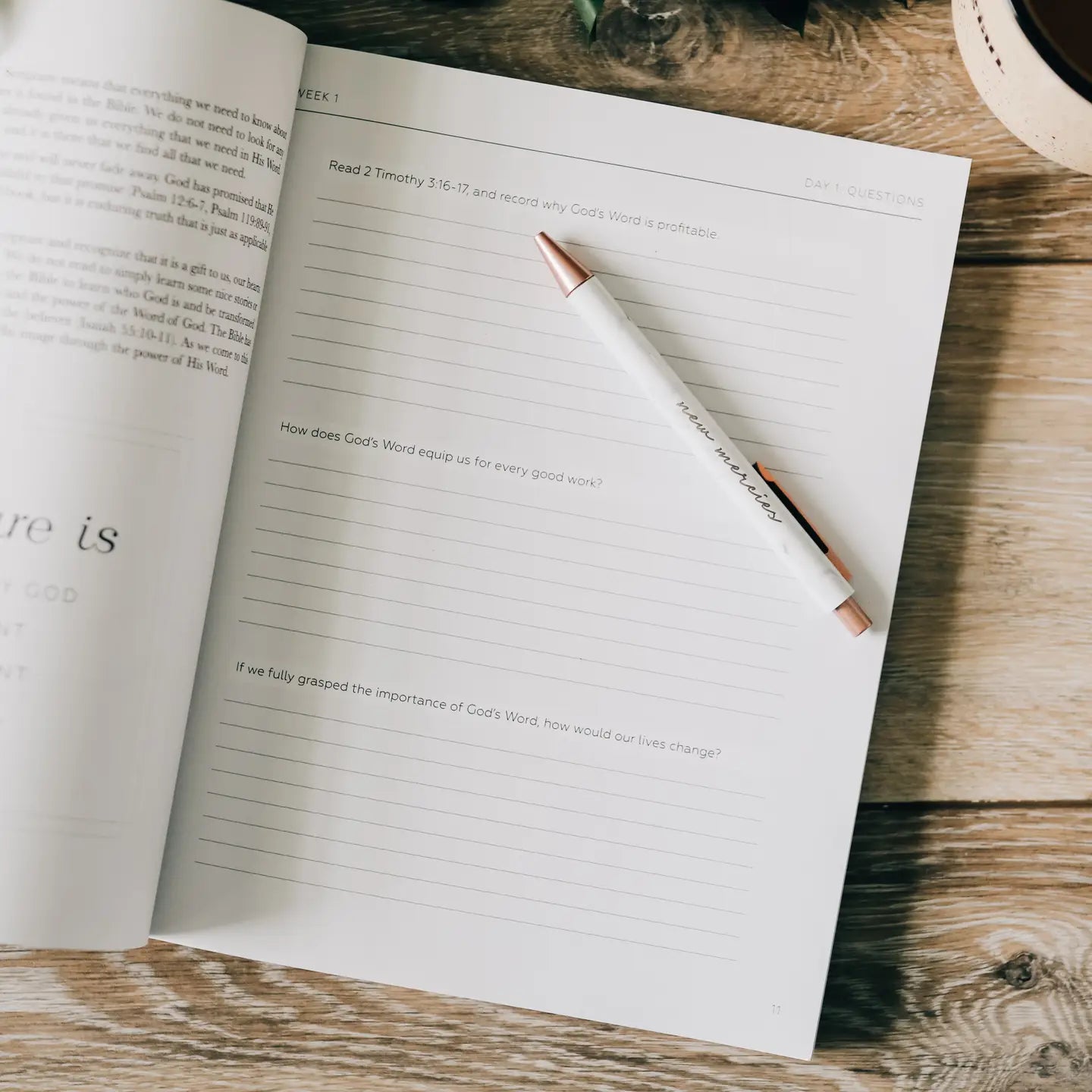 Search the Word Bible Study