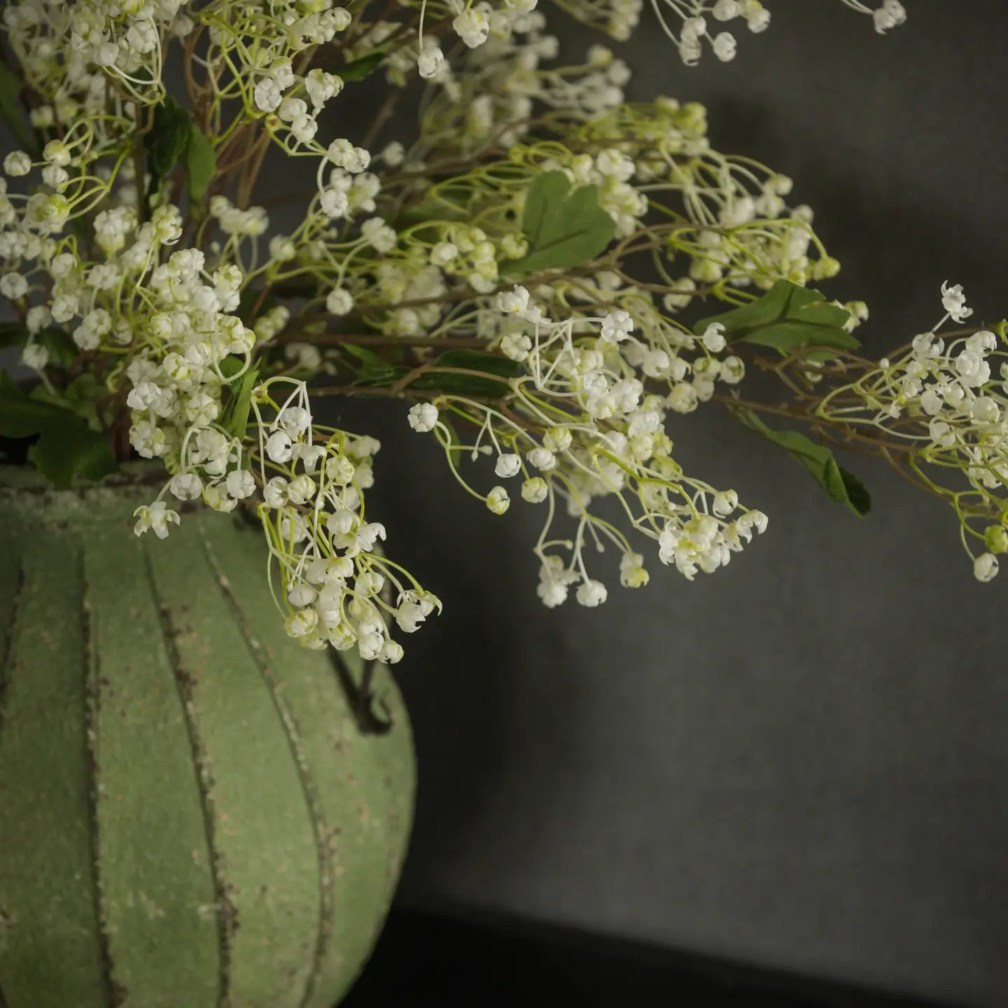 34" White Winter Daphne Spray
