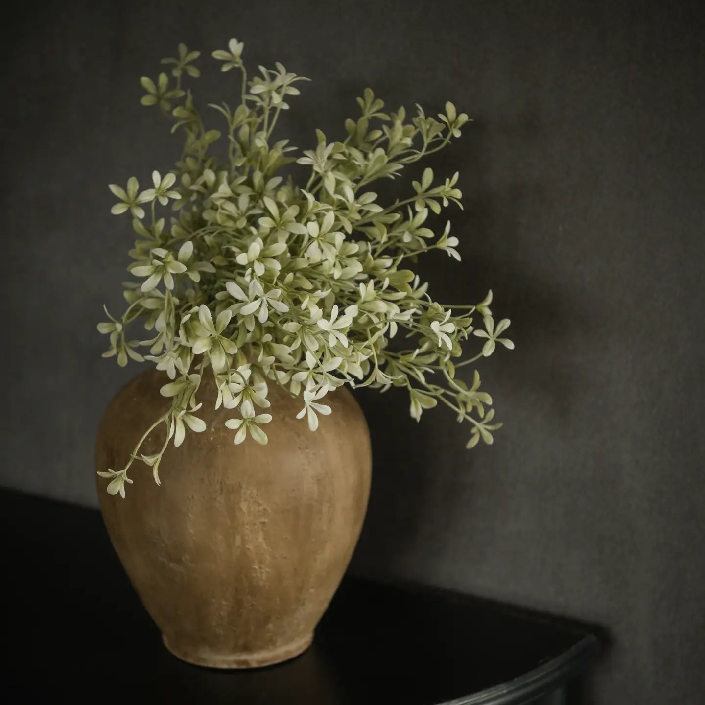 15.75 White Oncidium Bush