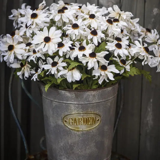 25" Cream Black-Eyed-Susan Stem