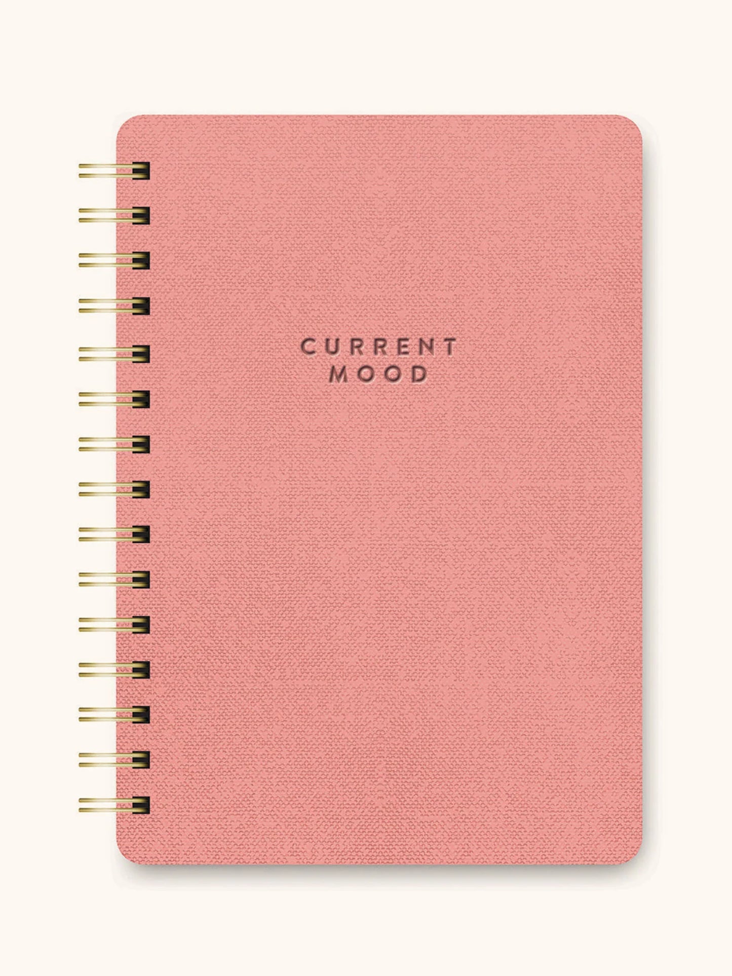 Agatha Current Mood Notebook