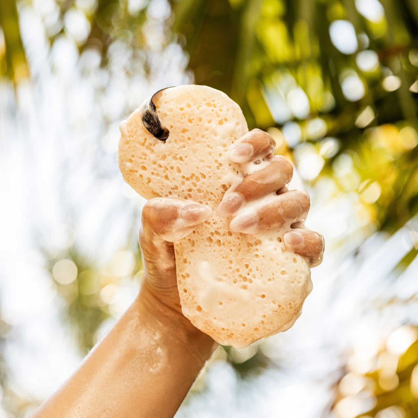 Bridgewater Body Wash Sponge