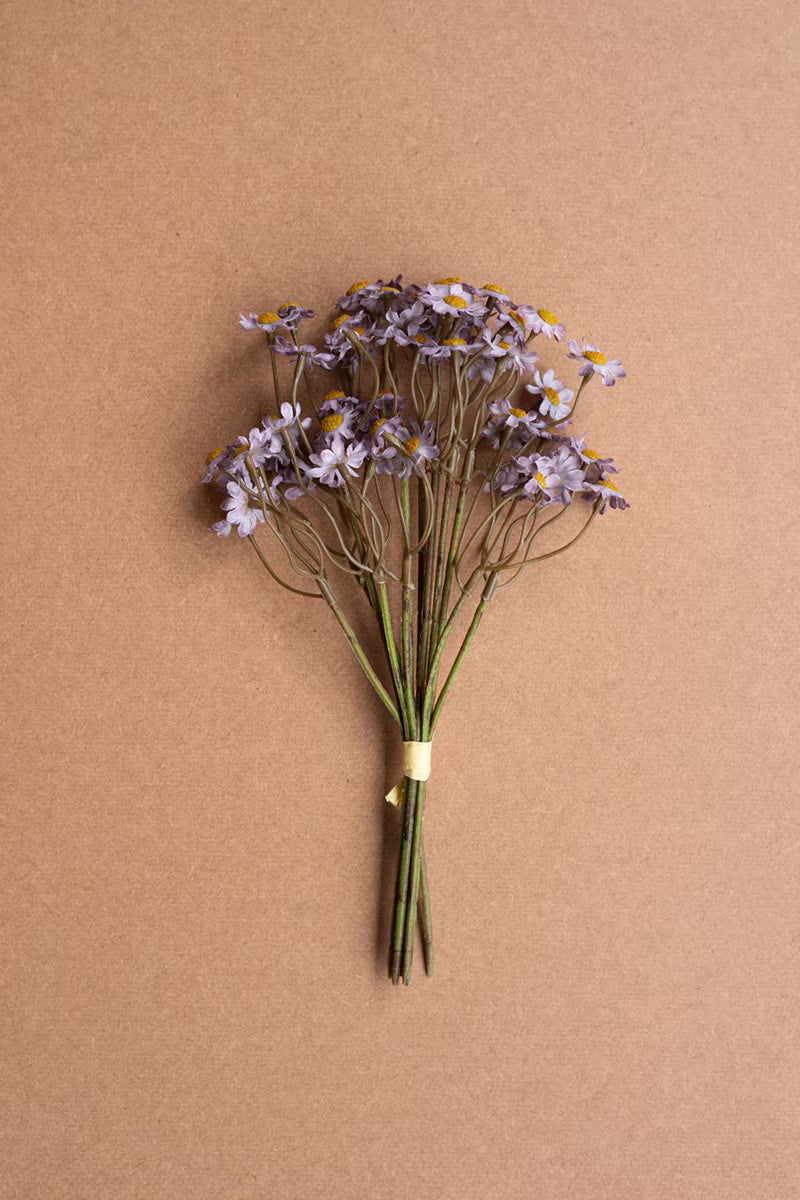 10" Chamomile Bundle of 6