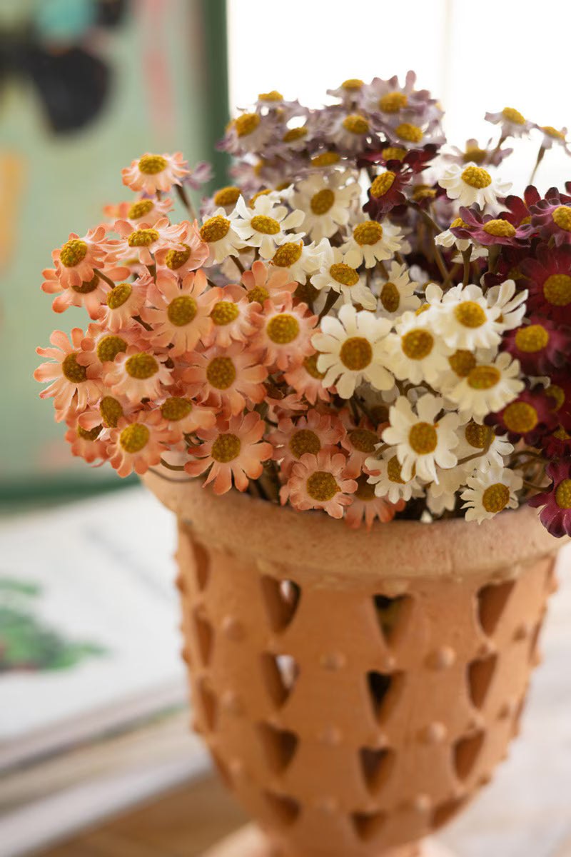 10" Chamomile Bundle of 6