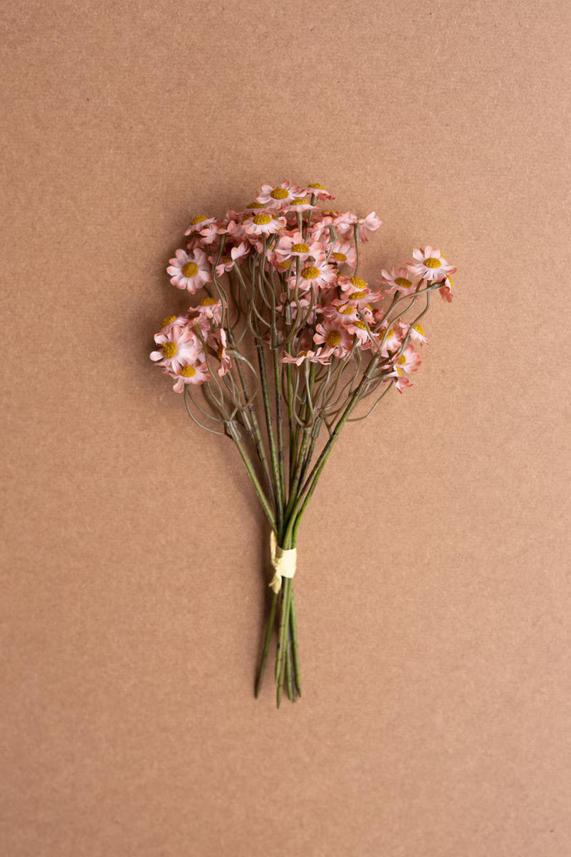 10" Chamomile Bundle of 6
