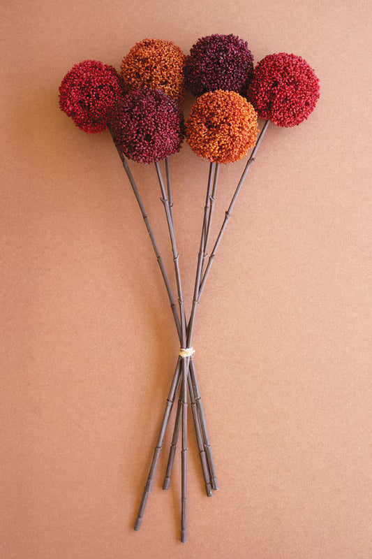 Allium Ball Stem