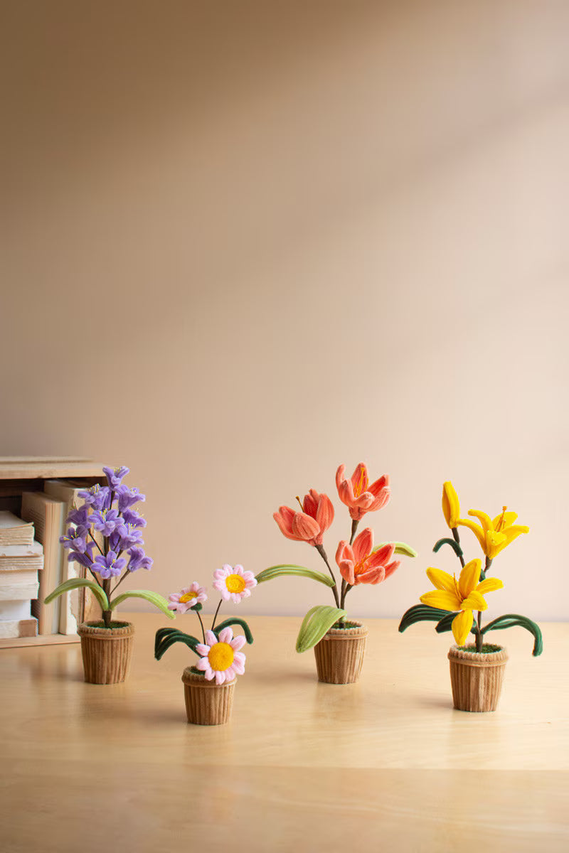 Potted Pipe Cleaner Botanicals