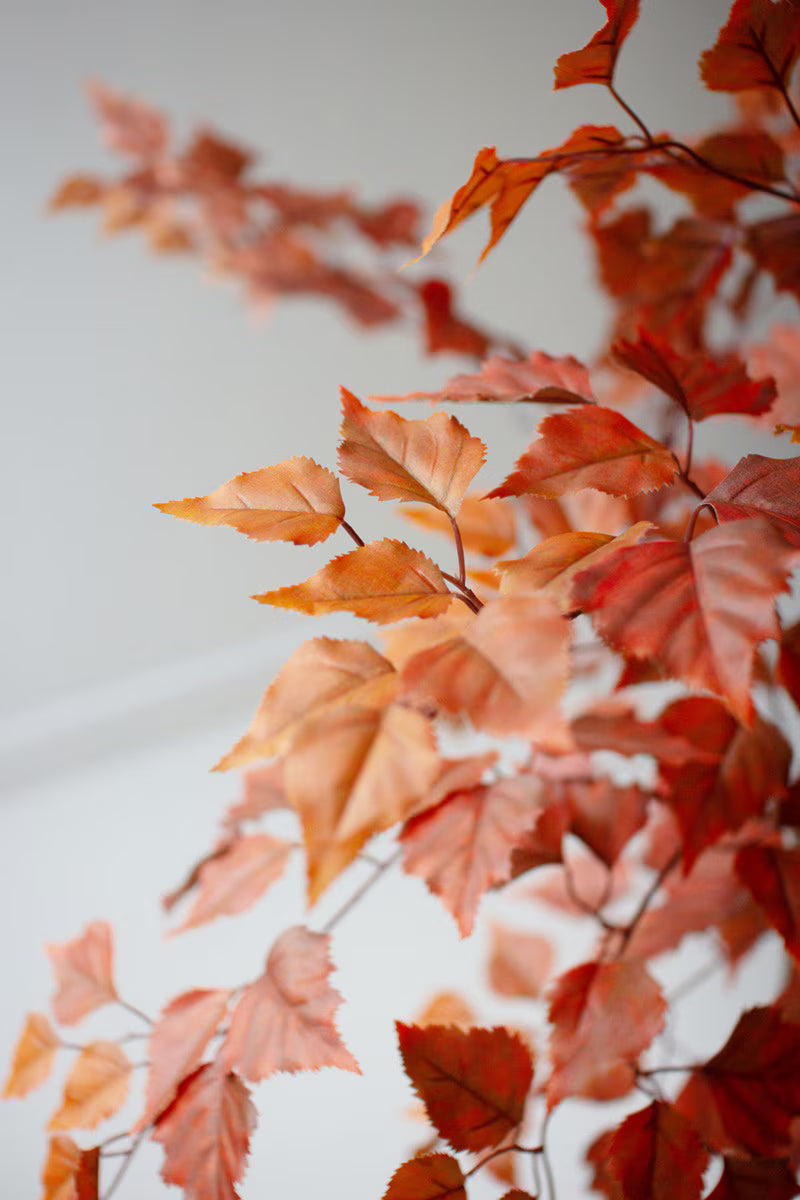 55" Autumn Birch Tree