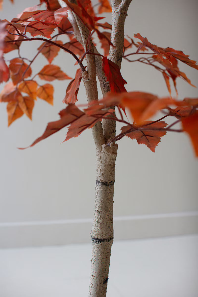 55" Autumn Birch Tree