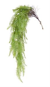 Hanging Fern Bush 44" L