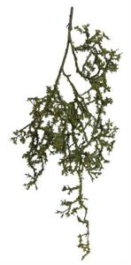 Mossy Branch 41"L