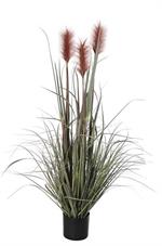 48" Potted Reed/Grass/Plumes Plant