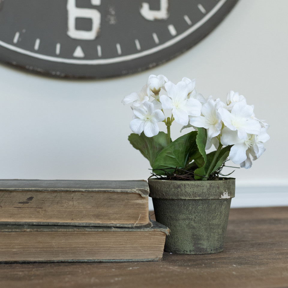 7" White Potted Geranium
