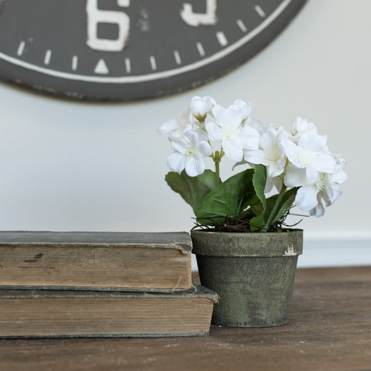7" White Potted Geranium