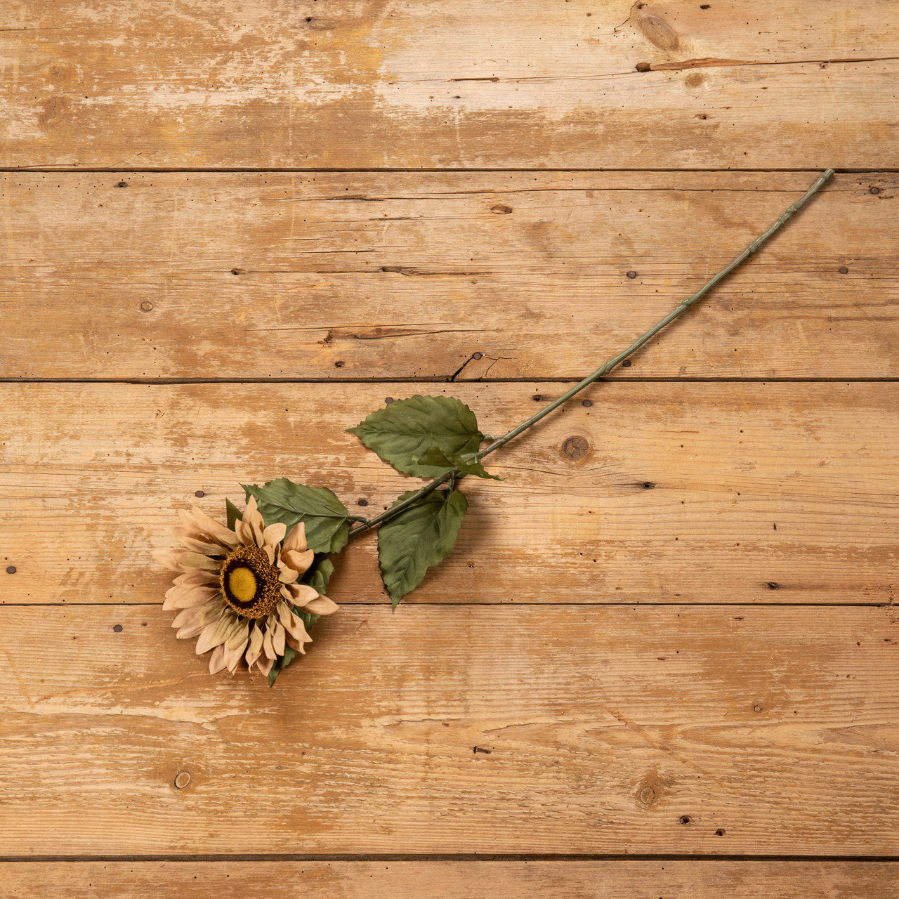 28" Tan Sunflower Stem