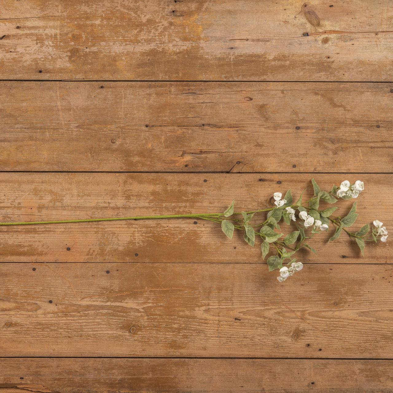 38" Cream Sweet Pea Spray