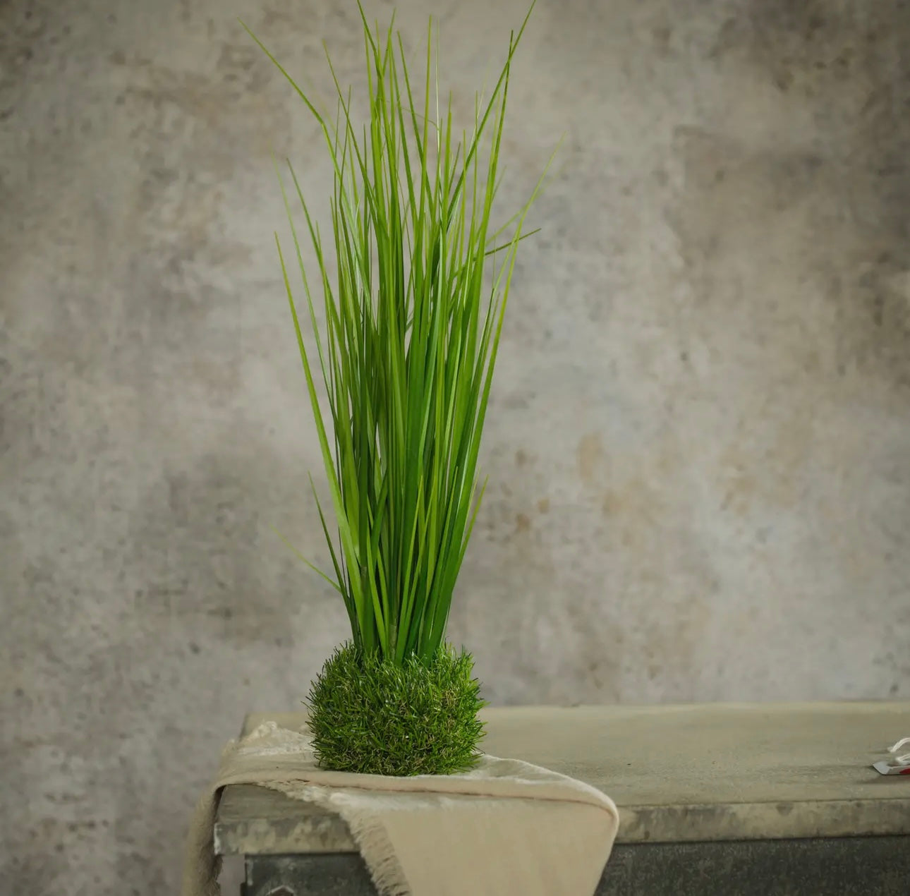 19.75" Onion Grass