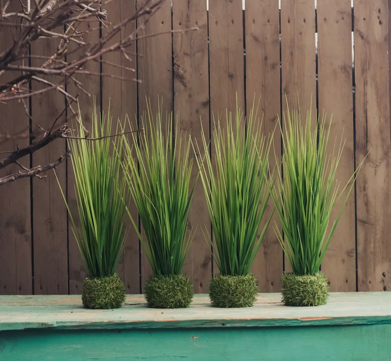 19.75" Onion Grass
