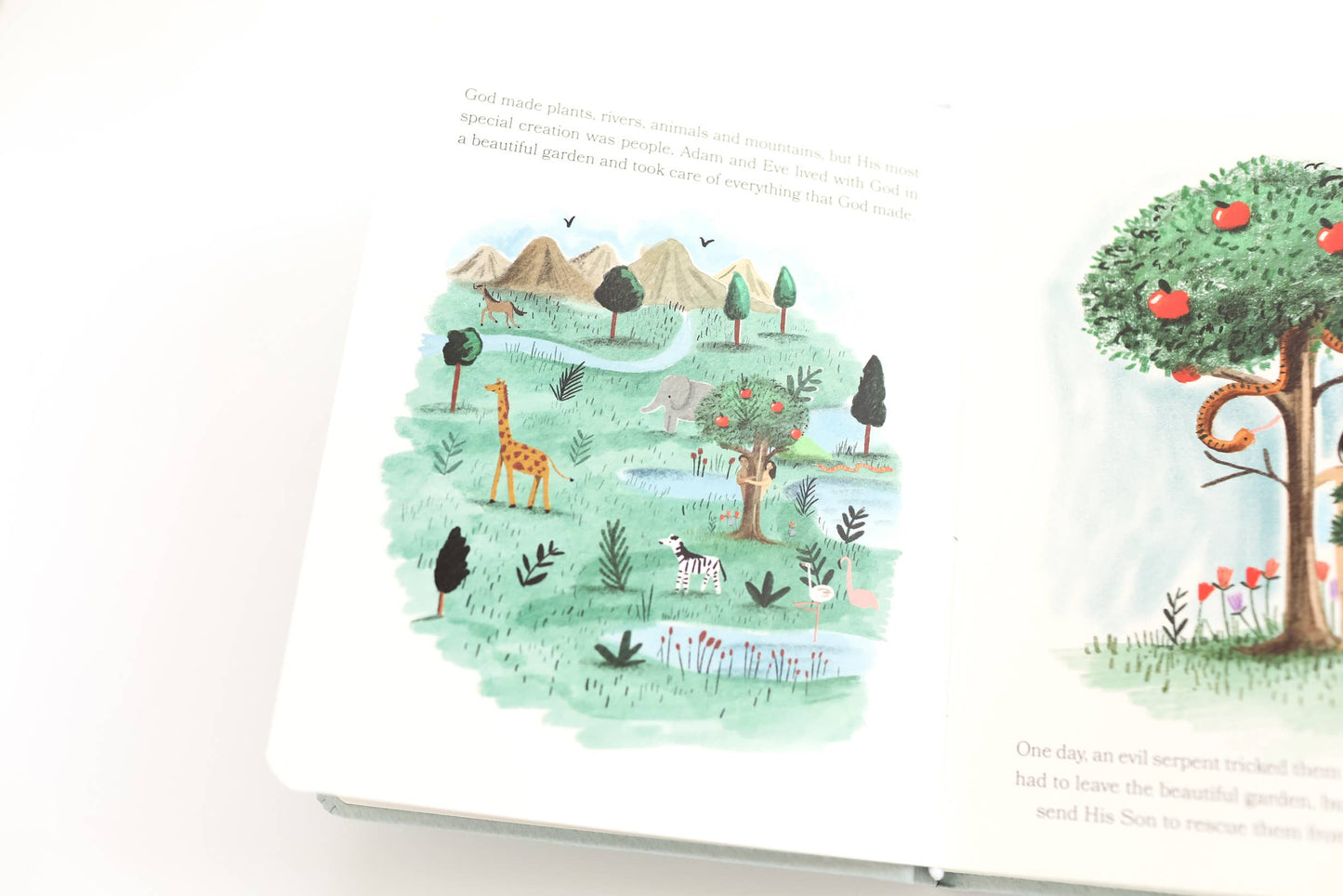 Bible Stories for Little Ones Book