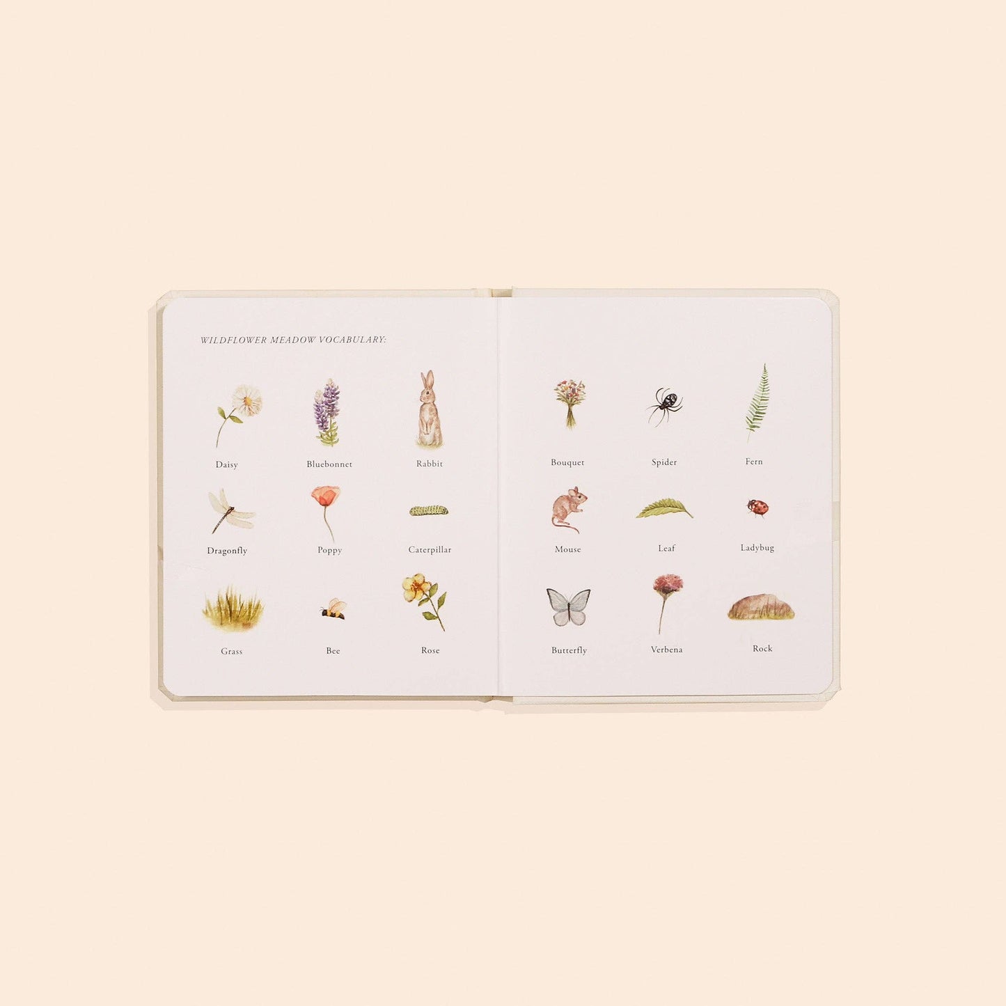 Our Little Adventures Set for Kids