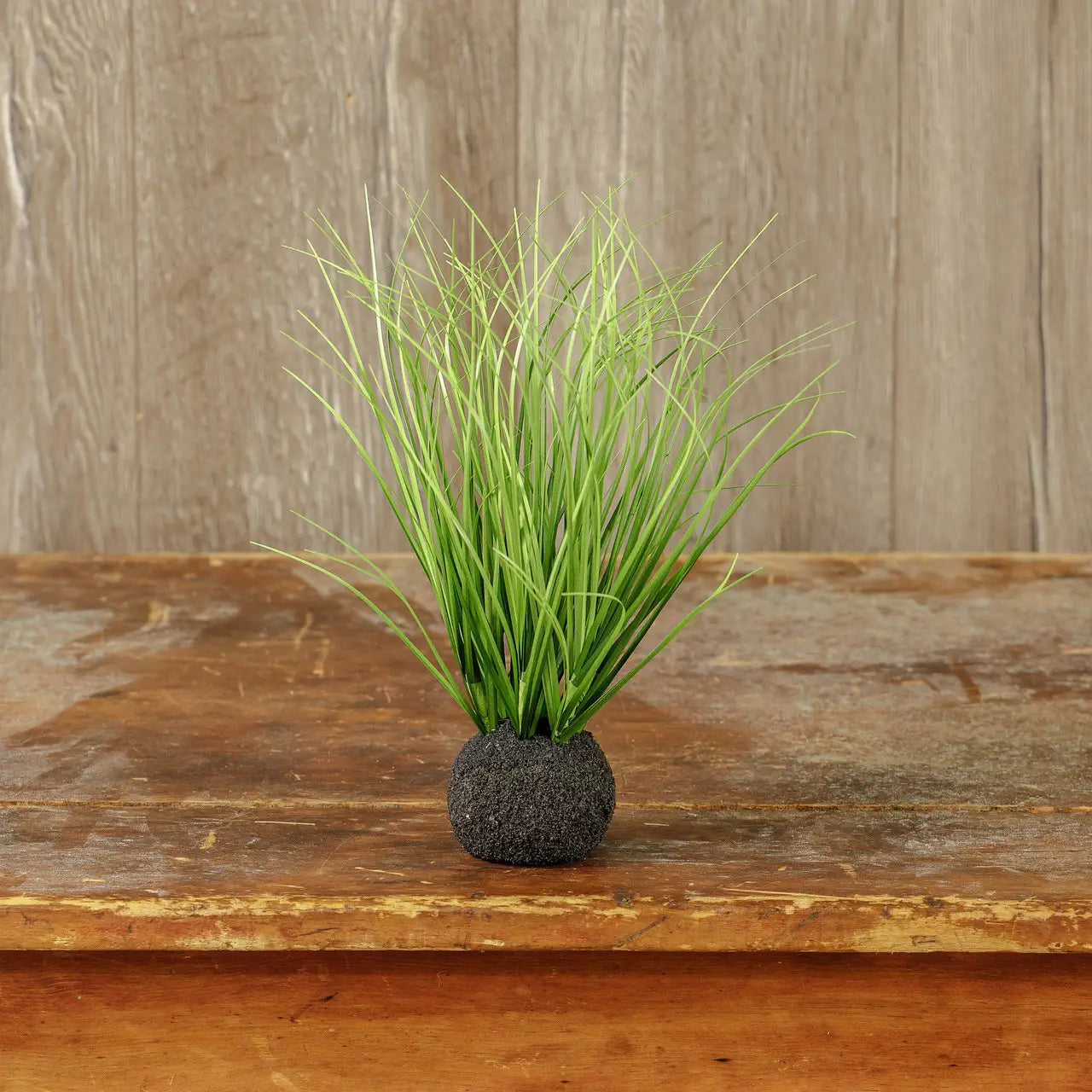 10" Wild Onion Grass Bulb