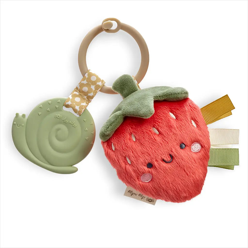 Itzy Pal Plush & Teether