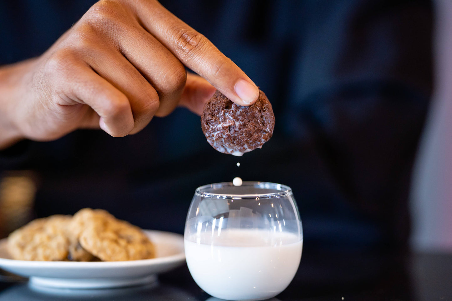 Double Chocolate Chip Soft Gourmet Mini Cookies