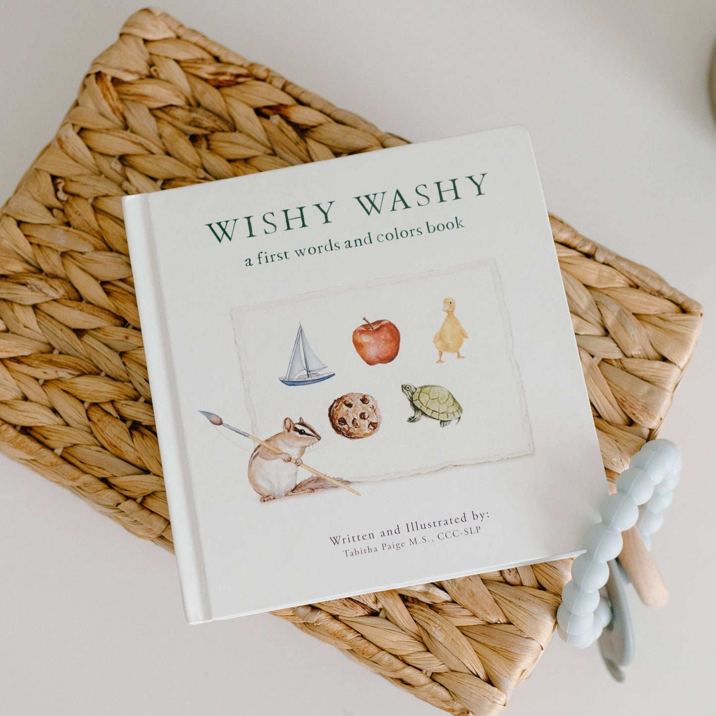 Wishy Washy: First Words and Colors