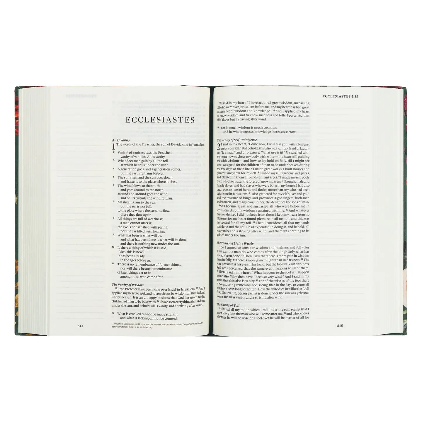Large Print Bible