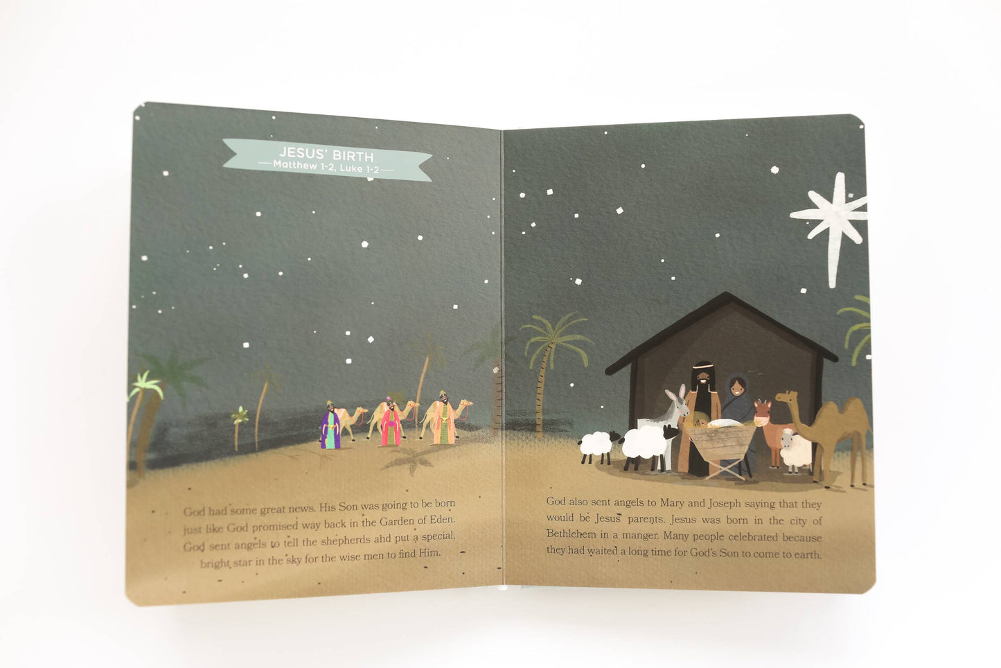 Bible Stories for Little Ones Book