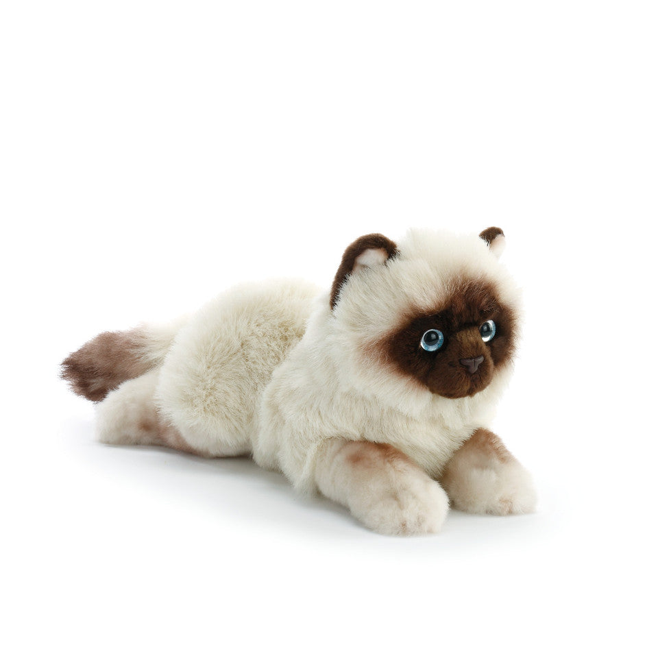 Large Plush Siamese Cat