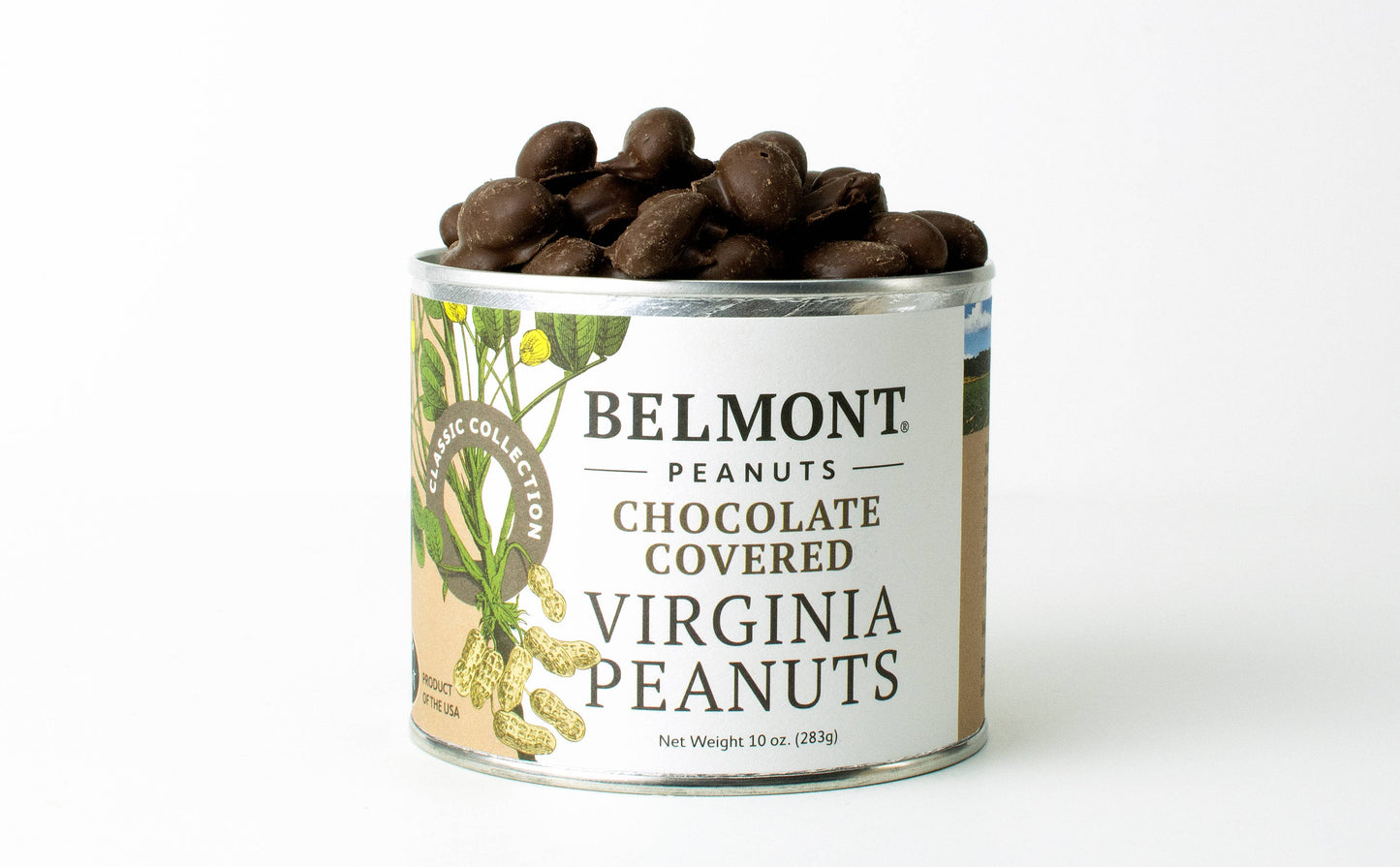 Chocolate Covered Peanuts