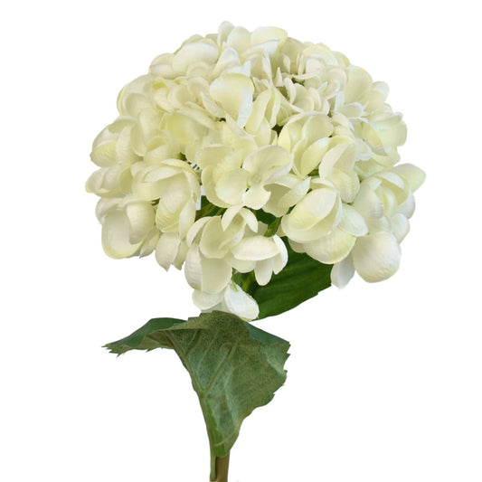 20" Popcorn Hydrangea Stem