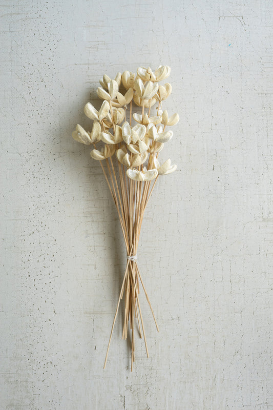 Bleached Bullet Flowers Bundle