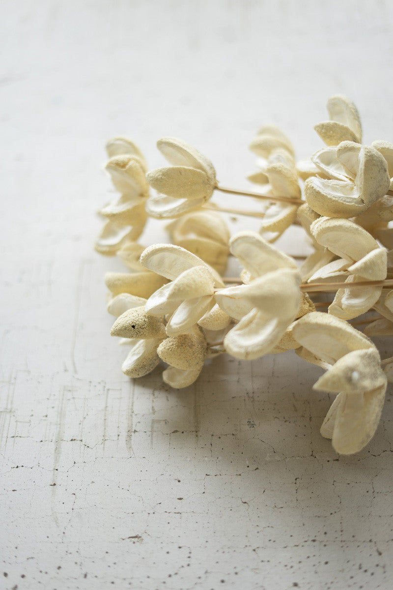 Bleached Bullet Flowers Bundle