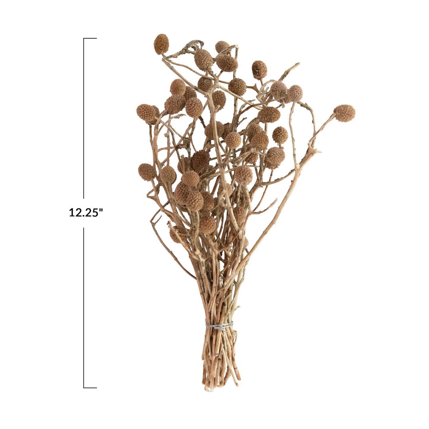12" Dried Bora Bouquet