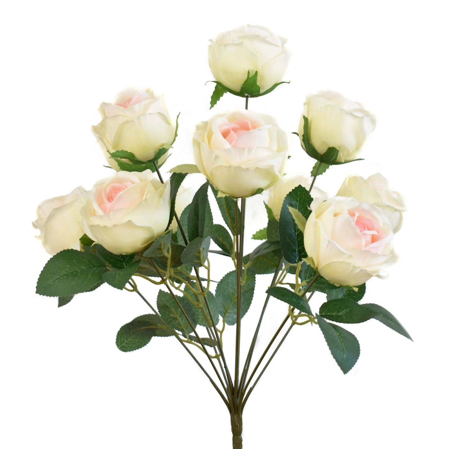 18.5" Eden Rose Bush