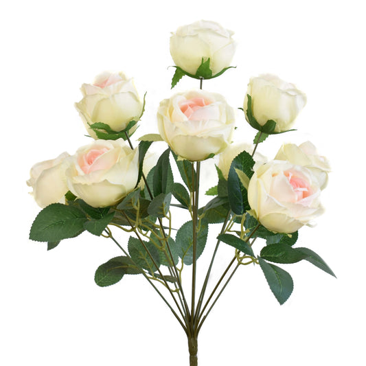 18.5" Eden Rose Bush