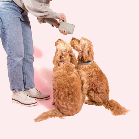 Pet Treat Bag