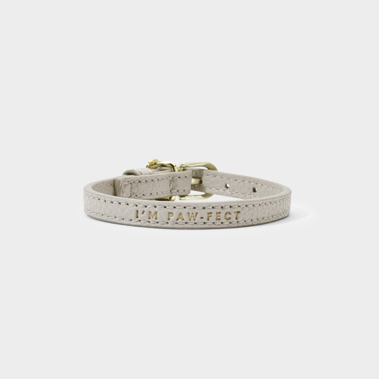 Dog Collar