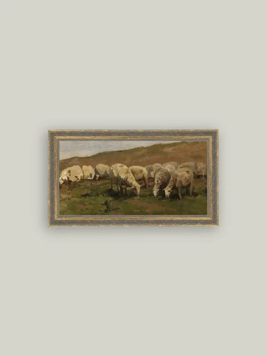 7x5 Sheep Landscape Picture Frame